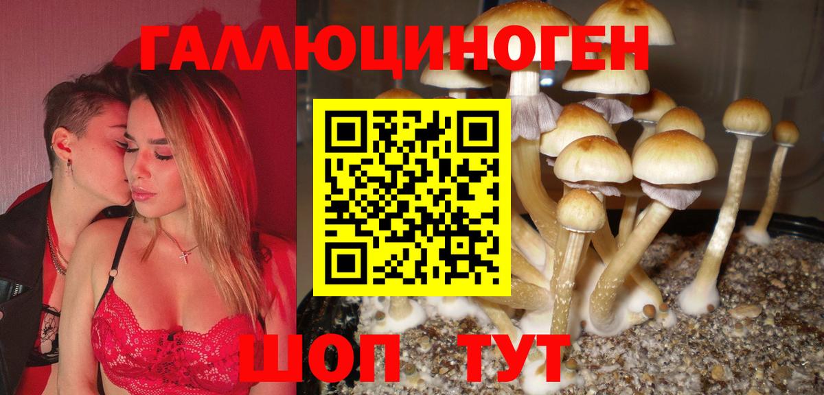 Псилоцибиновые грибы мухоморы  Вход с VPN  Железноводск 