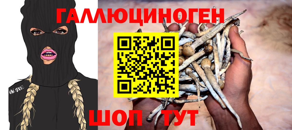 Псилоцибиновые грибы GOLDEN TEACHER Железноводск